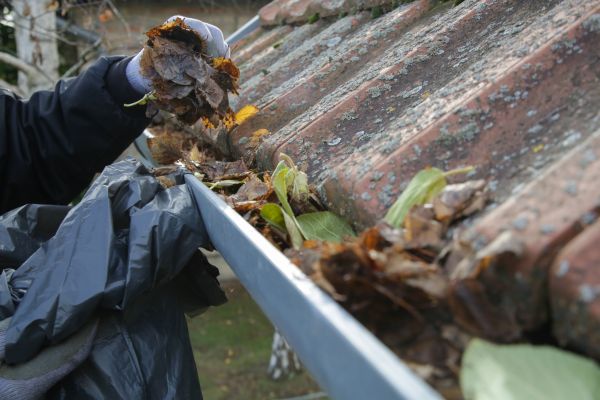 Commercial Gutter Unclogging in Owings Mills