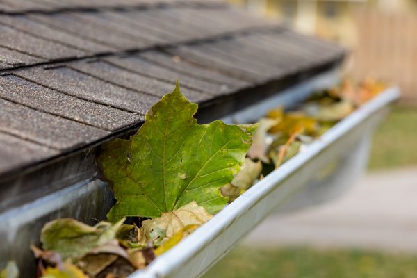 Commercial Downspout Cleaning in Owings Mills