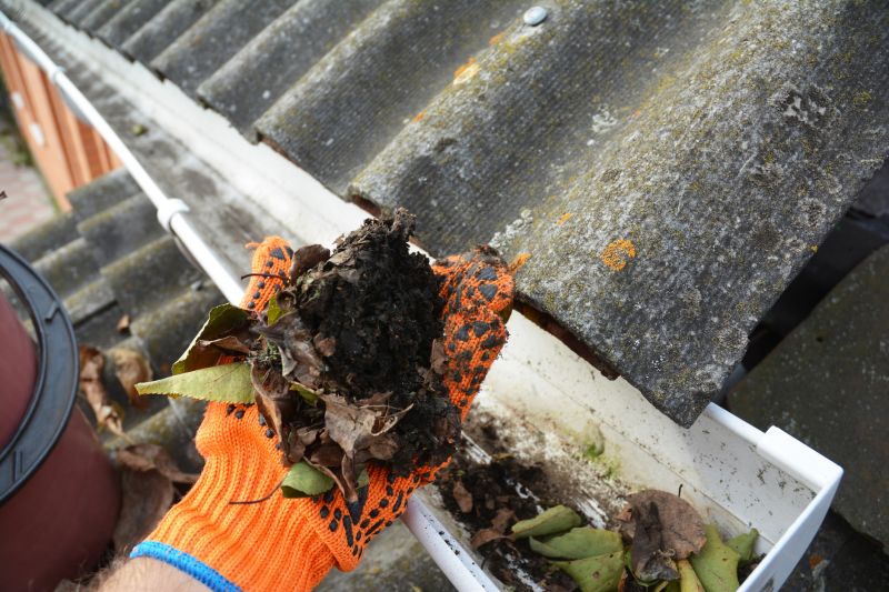 Gutter Inspection After Cleaning