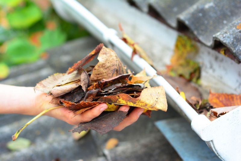 Leaf Gutter Cleaning