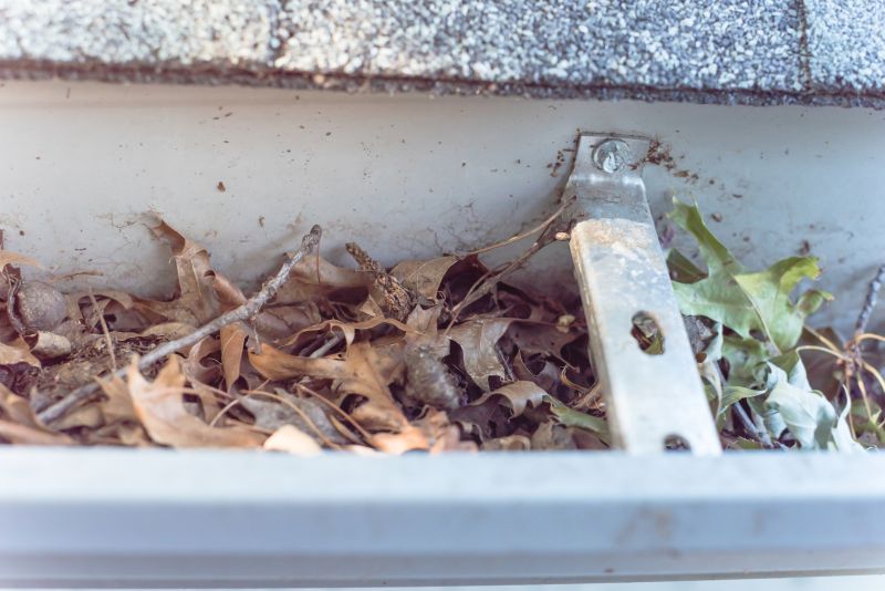 Roof Gutter Debris Removal