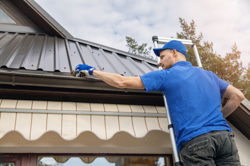 Gutter Cleaning in Owings Mills