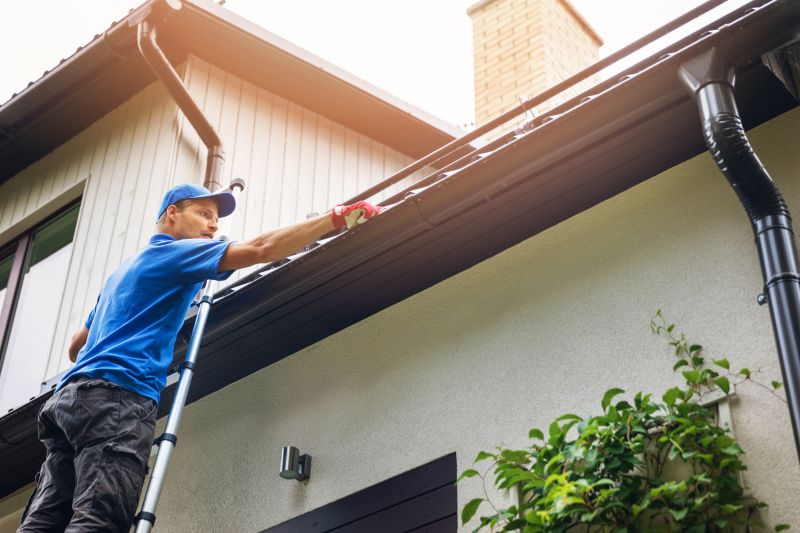 Proper Equipment for Gutter Maintenance