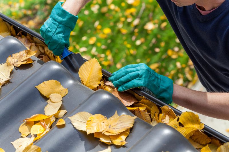 Maintaining Gutters Year-Round