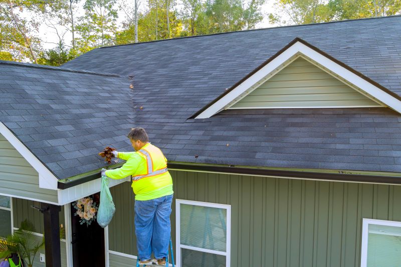 Licensed Gutter Cleaning Experts